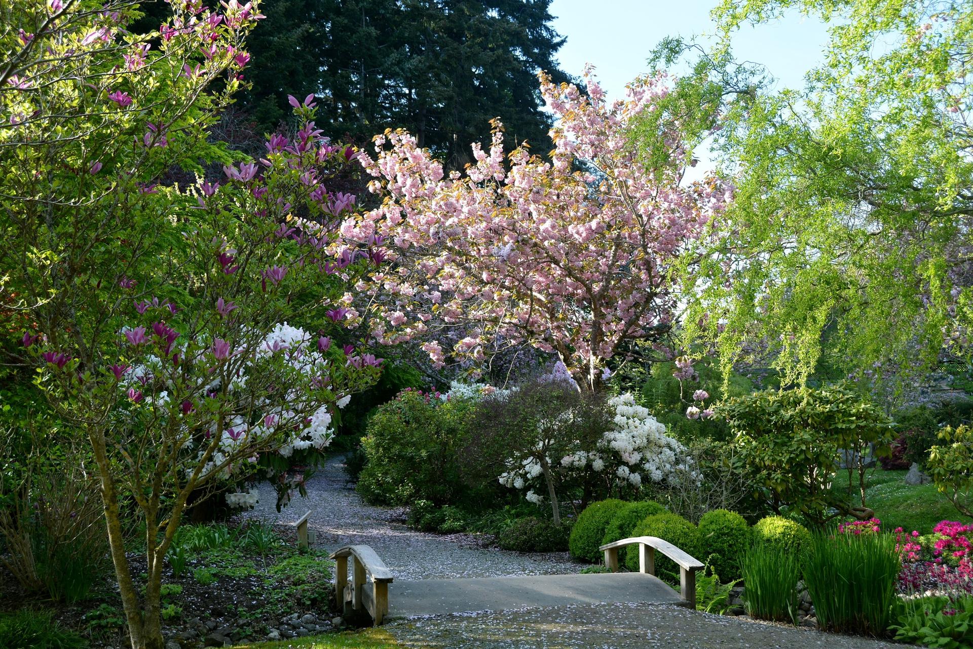 The Japanese Gardens at Dinner Bay Park on Mayne Island.  Photo taken by Lorie Brown.