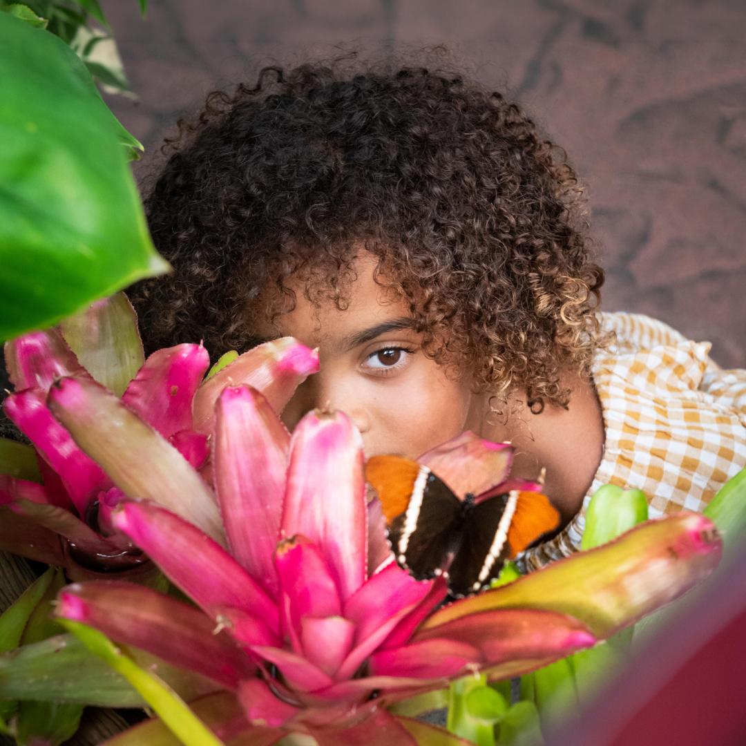 A young girl watches a butterfly inside the Victoria Butterfly Gardens in Victoria, BC