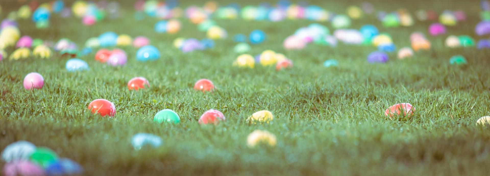 Multi-coloured Easter eggs are scattered across green grass during an Easter Egg Hunt