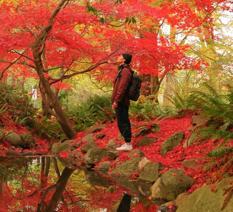 A person stands under a tree at the side of a pond. The tree has red foliage. Victoria, BC.