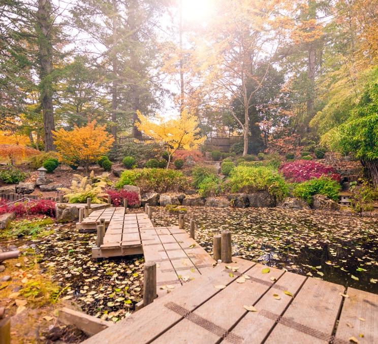 A bridge across a pond at the Gardens at HCP during the fall in Victoria, BC