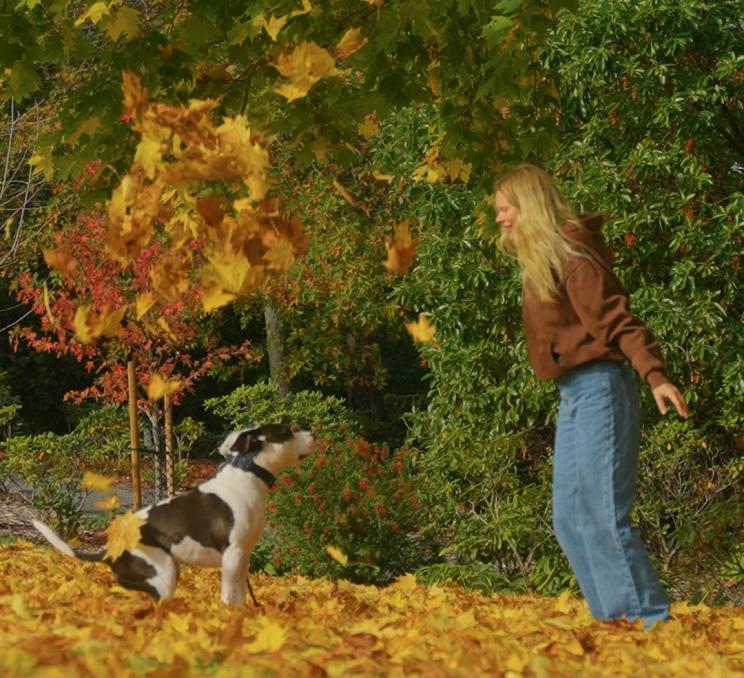 A woman throws golden leaves in the air above her dog in Victoria, BC