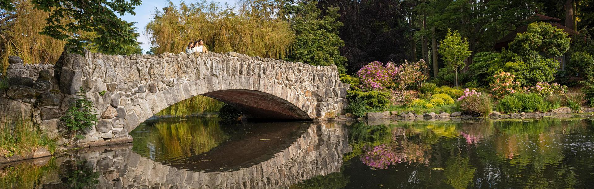 A family standing on a stone bridge overlooking a pond in Beacon Hill Park in Victoria, BC