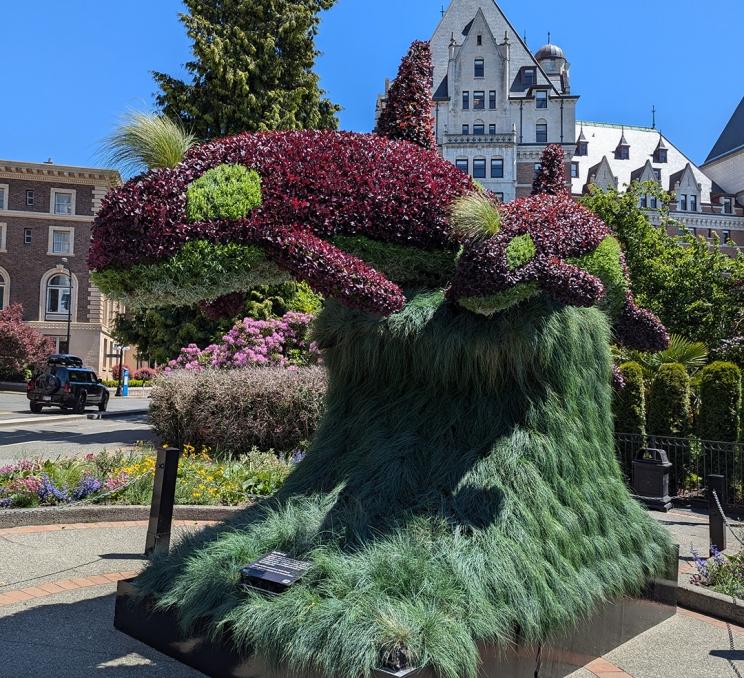 A sculpture made of purple and green plants representing a mother orca and her calf outside of the Fairmont Empress in Victoria, BC