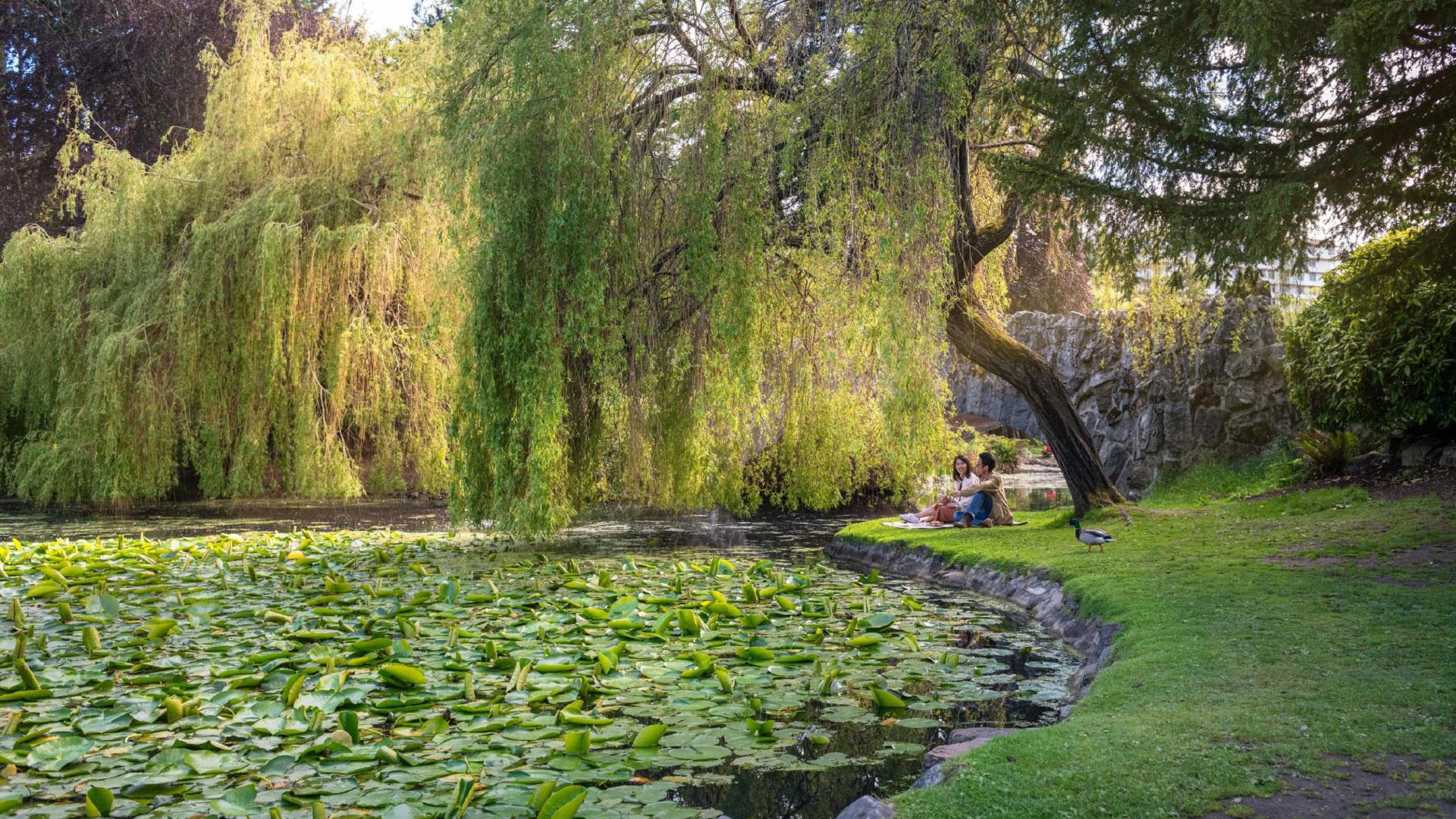 A couple having a picnic in Beacon Hill