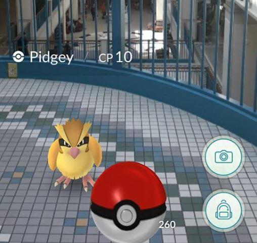 Pidgey at The Bay Centre on level 2. The world clock just above is a Pokestop