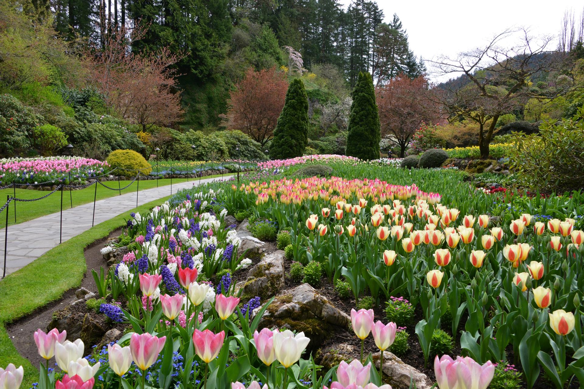 The Butchart Gardens Victoria