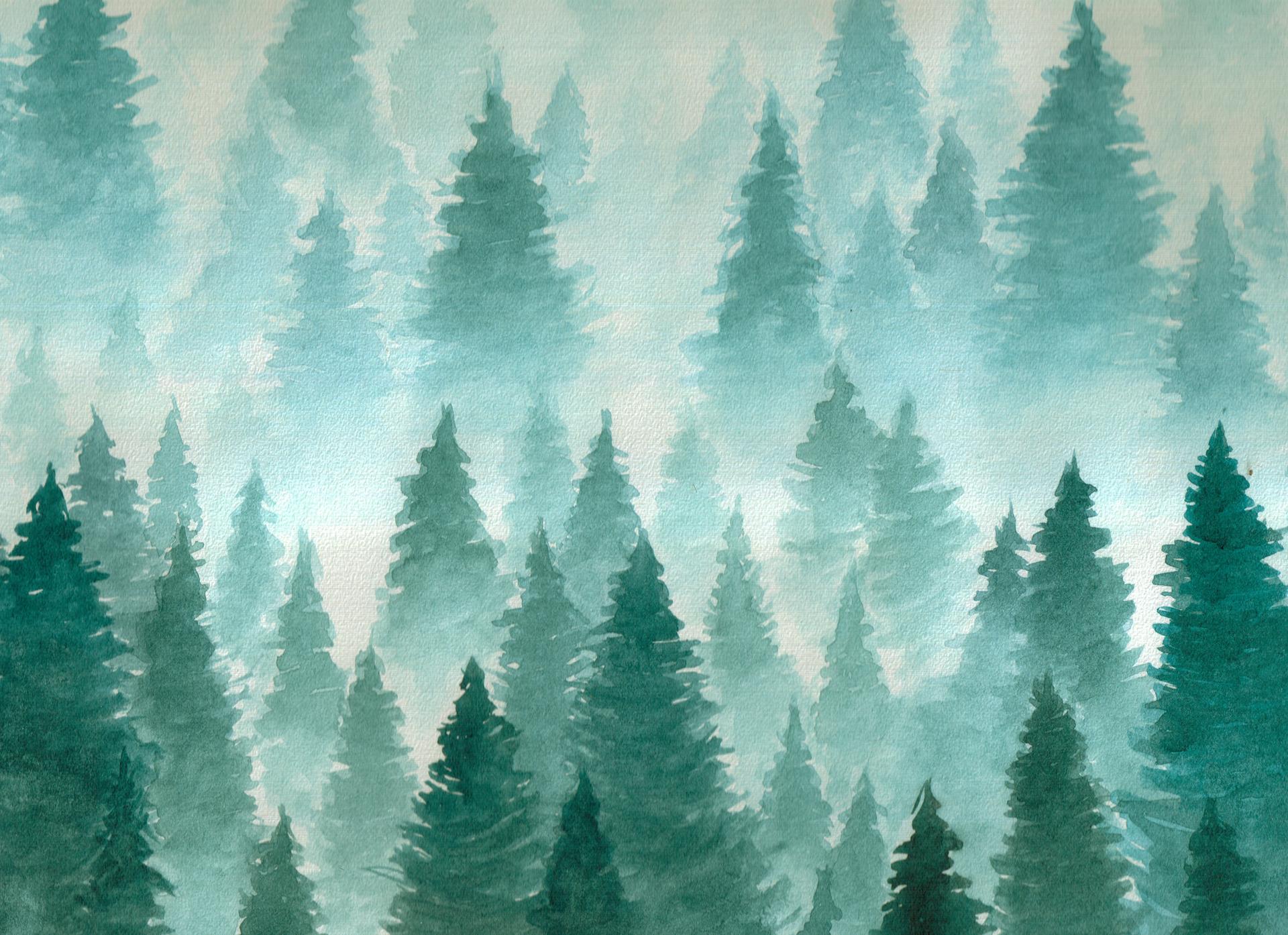 A watercolour painting of a forest of evergreen trees.