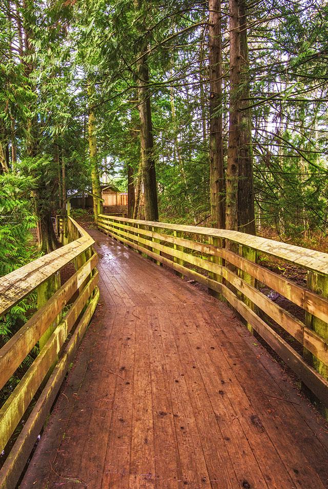 A hiking path in Victoria, BC