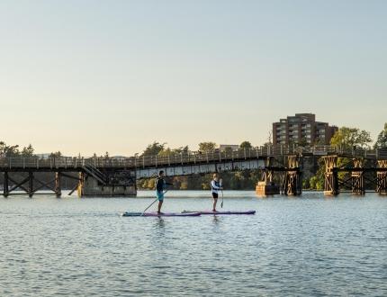 a couple paddleboarding at sunset