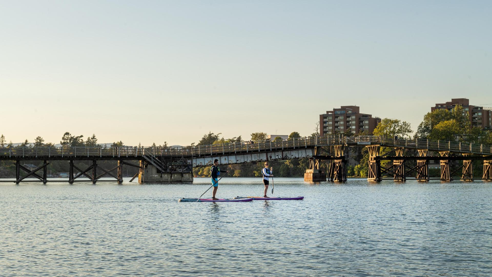 a couple paddleboarding at sunset