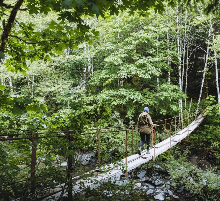 Person walking in the forest