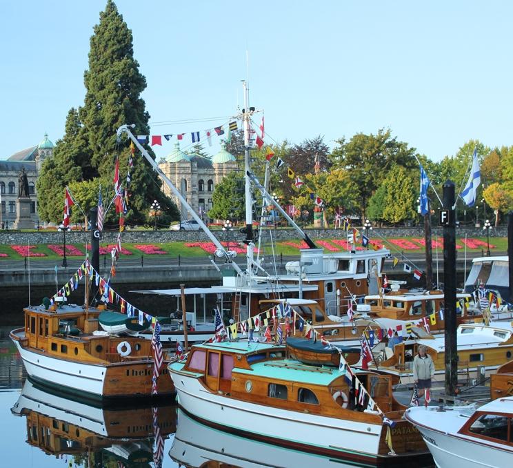 A group of classic boats docked in Victoria, BC's Inner Harbour during the Classic Boat Show