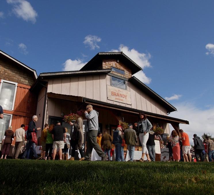Ciderfest at the distillery at Merridale Cidery & Distillery in Greater Victoria, BC