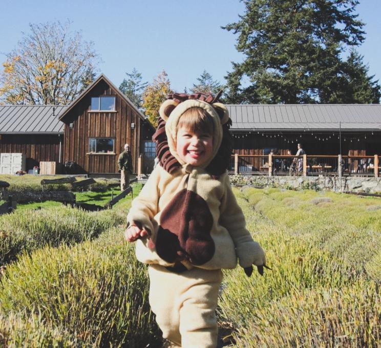 A child in a lion costume runs through the lavender field at Bilston Creek Farm in Greater Victoria, BC