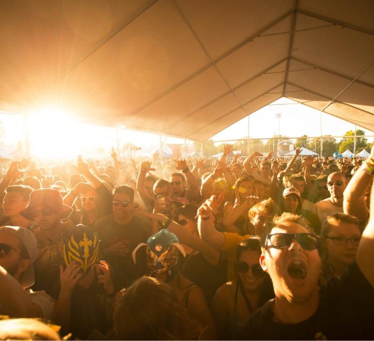 A crowd cheers for the performers at Rifflandia in Victoria, BC