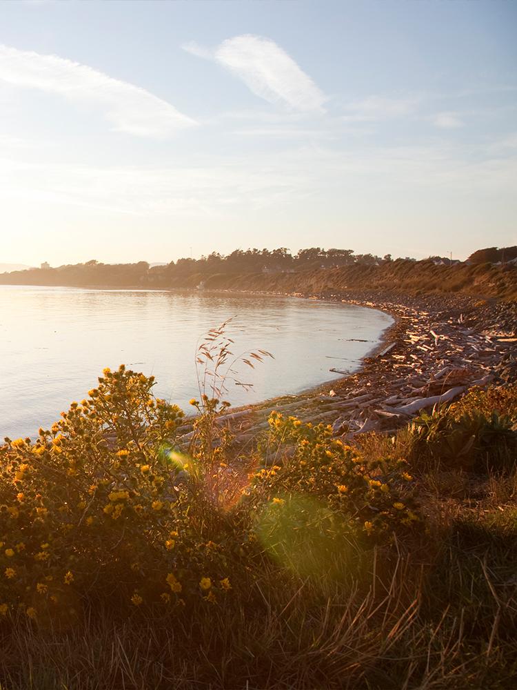 A sunrise at Crescent Beach in Greater Victoria, BC