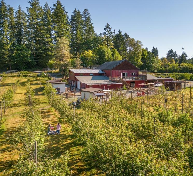 A young couple enjoys a picnic in the orchard with a red barn in the background at Junction Orchard & Cidery in Victoria, BC