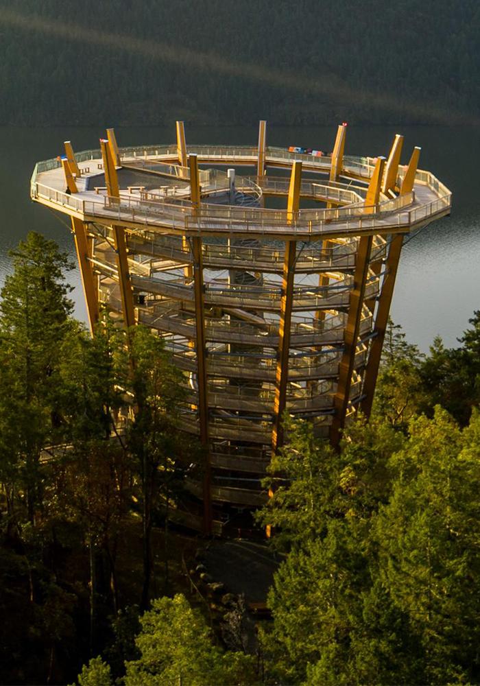 The Malahat SkyWalk from above at sunrise in Greater Victoria, BC
