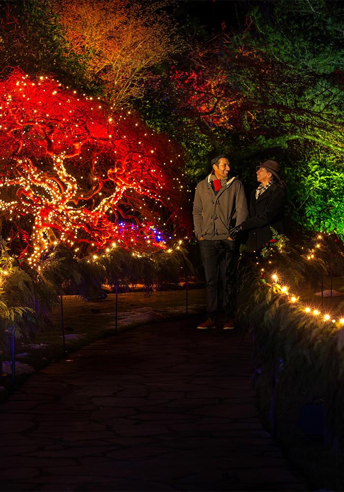 A couple walks hand-in-hand in the Sunken Garden during The Butchart Garden's Magic of Christmas holiday light display in Victoria, BC
