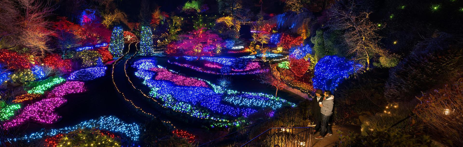 A couple walking down the staircase into the Sunken Garden at The Butchart Gardens during their Magic of Christmas holiday light display in Victoria, BC