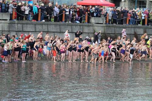 polar-bear-swim-in-sidney-bc