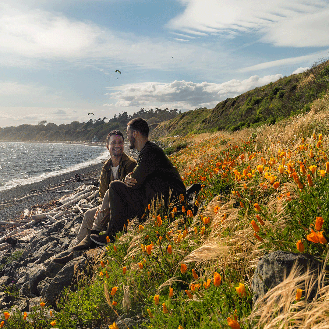 A male couple sitting amongst the wildflowers on the beach at Clover Point along Dallas Road in Victoria, BC while paragliders fly overhead