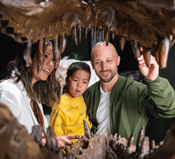 A family examines a T-Rex skull at DinoLab Inc in Victoria, BC