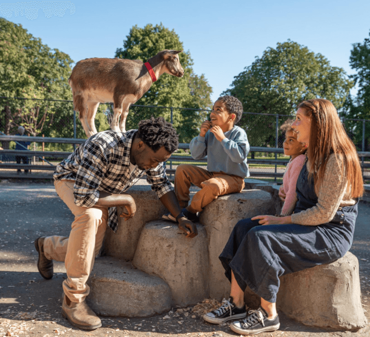 Family playing with goats at the Beacon Hill Children's Farm in Victoria, BC