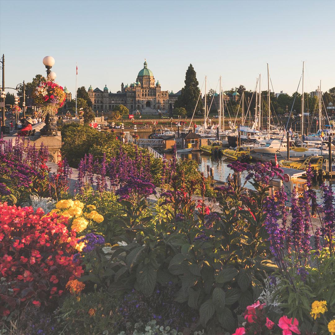 A view across gardens beds along the Inner Harbour toward the BC Parliament Buildings in Victoria, BC