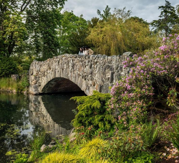 A family looks over the stone bridge in Beacon Hill Park in Victoria, BC