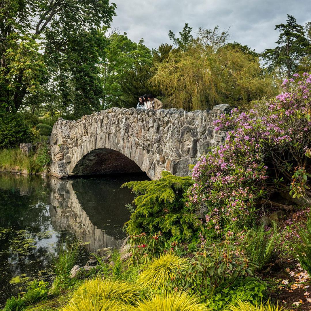 A family looks over the stone bridge in Beacon Hill Park in Victoria, BC