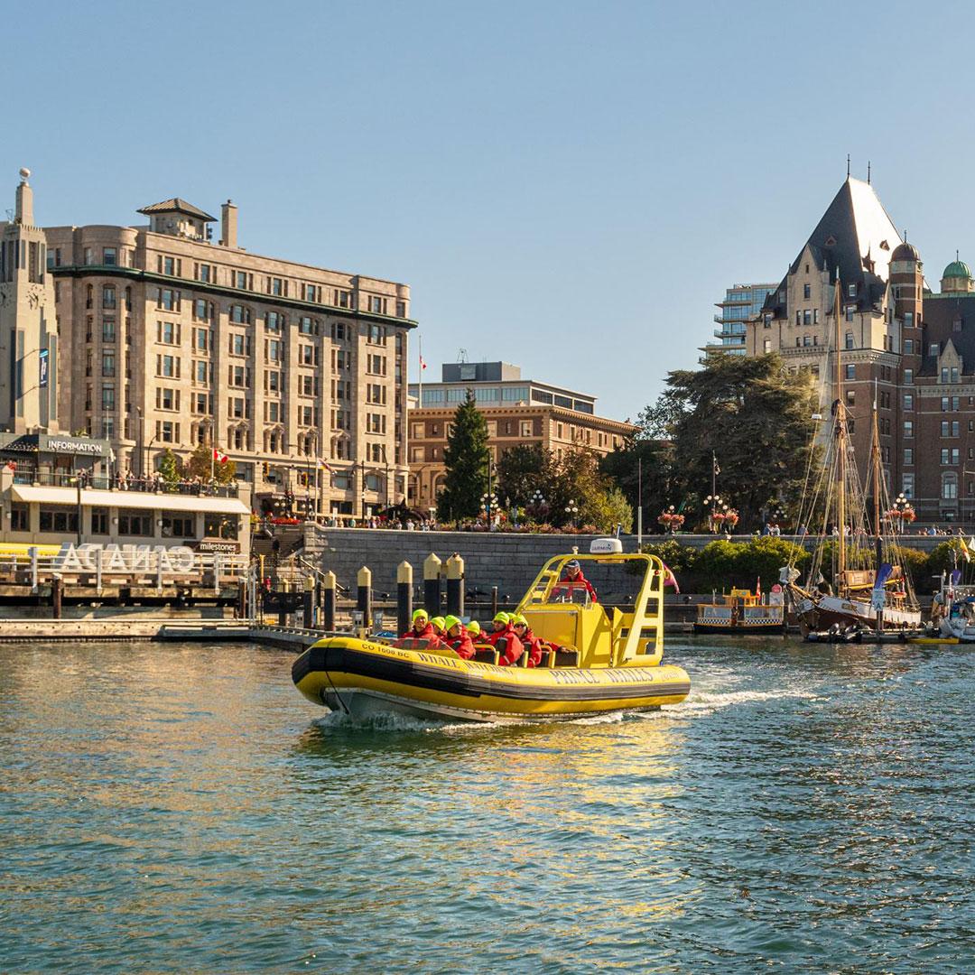 A yellow zodiac from Prince of Whales Whale Watching Tours departs the Inner Harbour of Victoria, BC