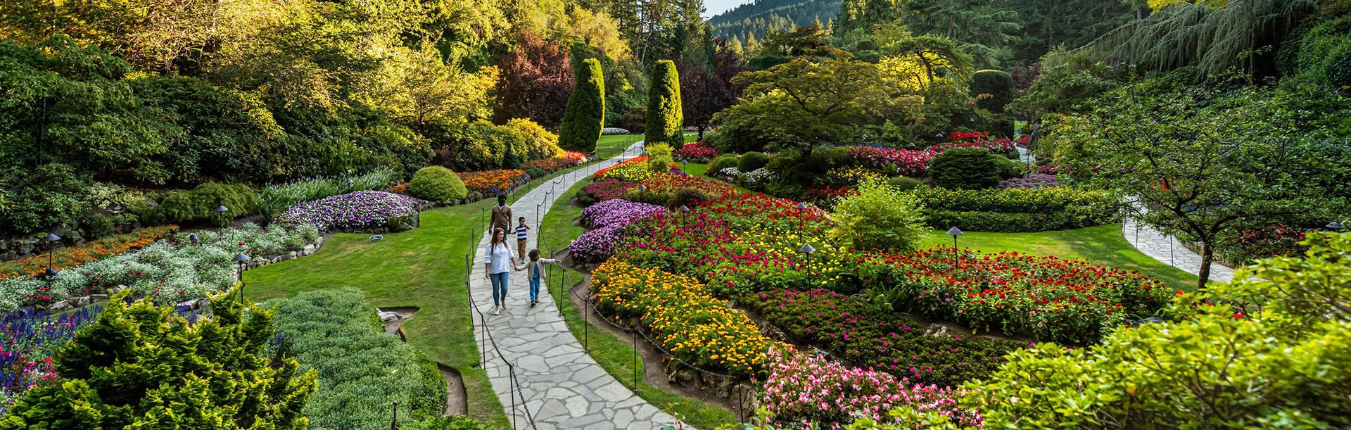A family walks along a pathway in the Sunken Garden at The Butchart Gardens in Victoria, BC