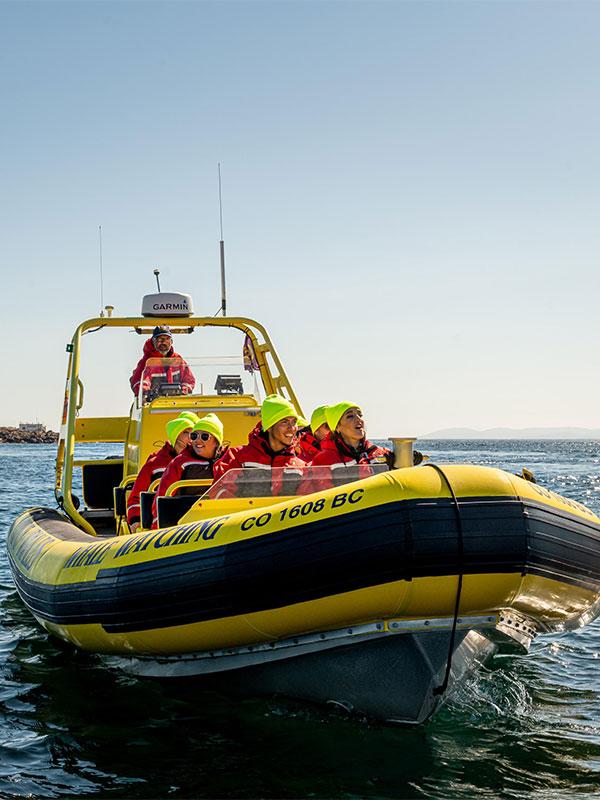 A zodiac whale watching tour from Prince of Whales Whale & Wildlife Watching tour on the Salish Sea off the coast of Victoria, BC