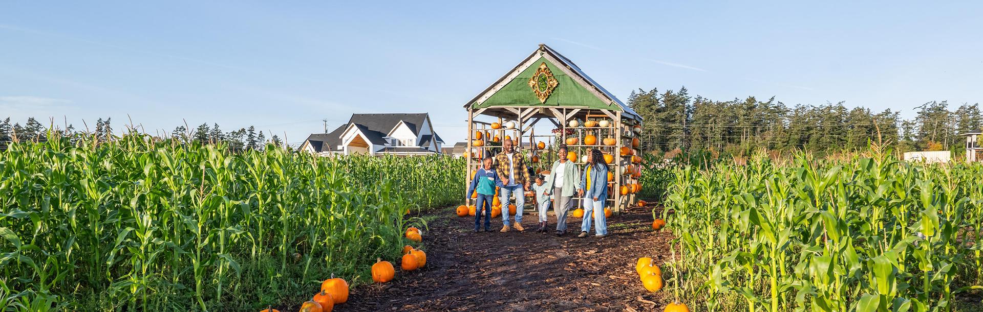 A family walks through a pumpkin patch at Ocean View Estates in Victoria, BC