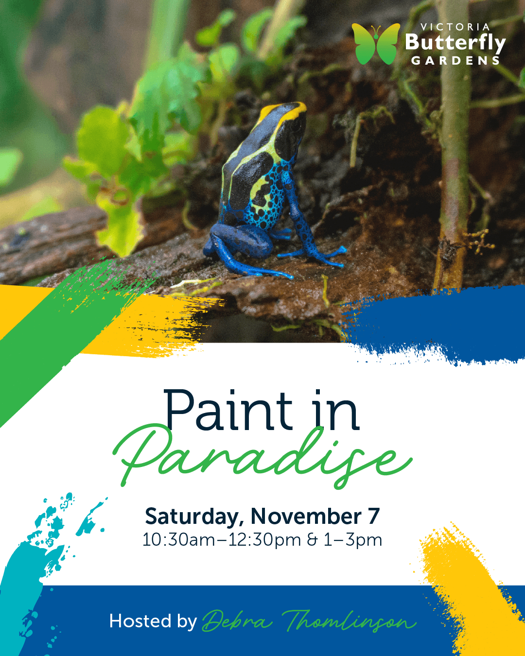 Paint in Paradise poster