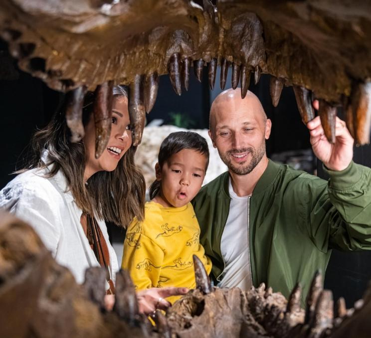 A family examines a T-Rex skull at DinoLab Inc in Victoria, BC