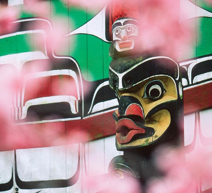 Pink cherry blossoms in front of a totem pole outside of Mungo Martin House in Thunderbird Park at the Royal BC Museum in Victoria, BC