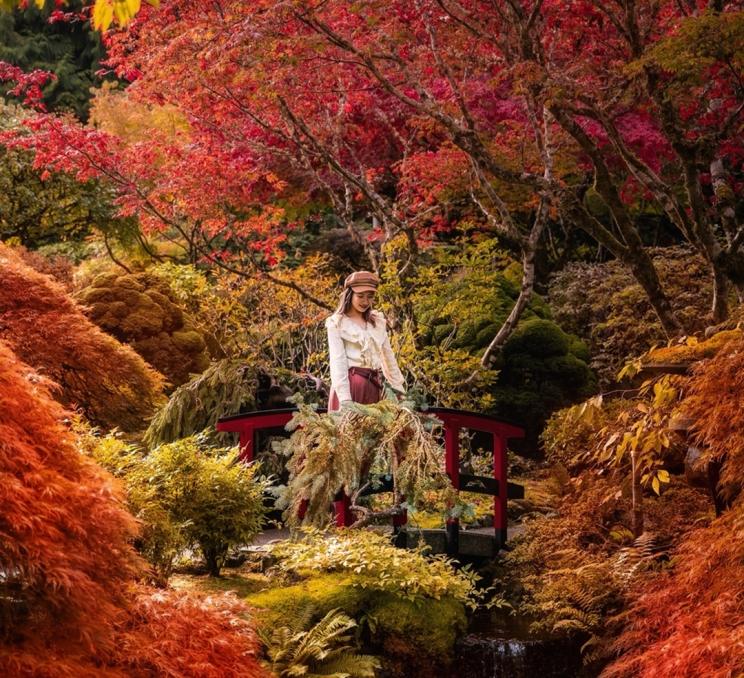 A woman crosses a bridge during fall in The Butchart Gardens', a National Historic Site of Canada, Japanese garden in Victoria, BC