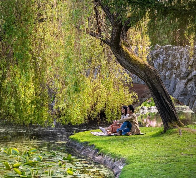 A couple enjoys a pondside picnic at Beacon Hill Park in Victoria, BC