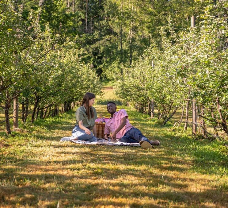 A couple enjoys a picnic at Junction Orchard & Cidery on the Saanich Peninsula in Victoria, BC