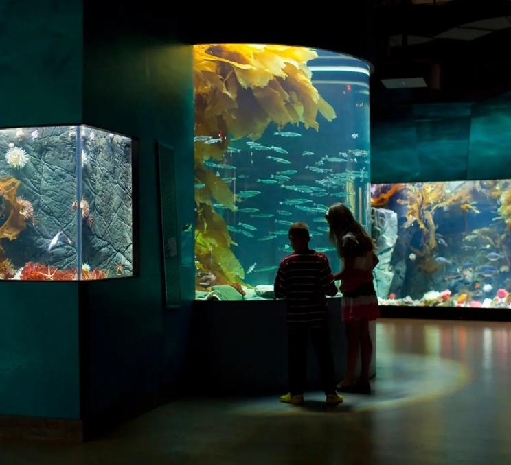 Two children look at an exhibit at the Shaw Centre for the Salish Sea in Victoria, BC