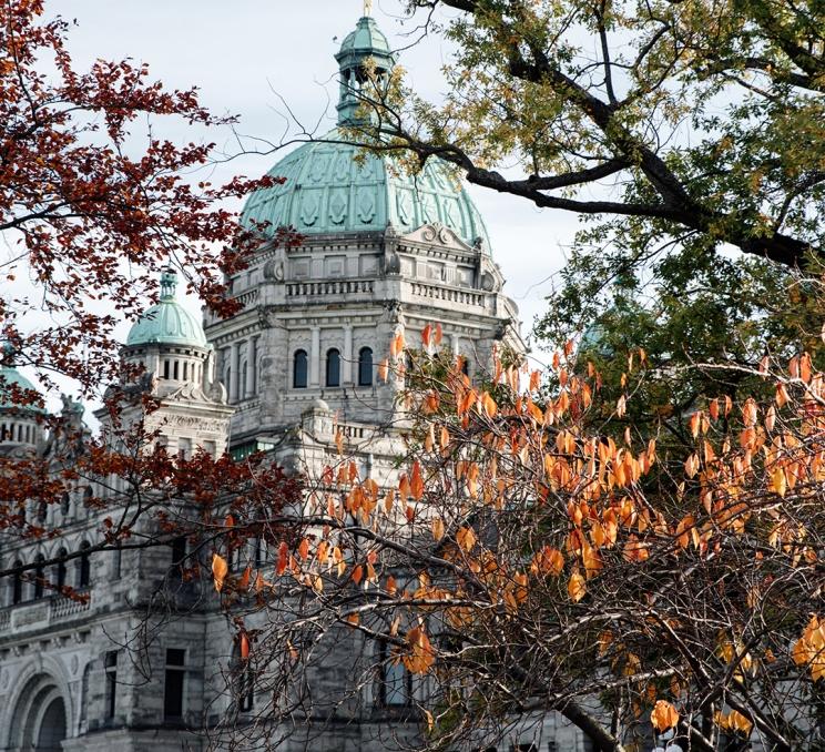 A view of the BC Parliament Buildings through the trees at fall in Victoria, BC