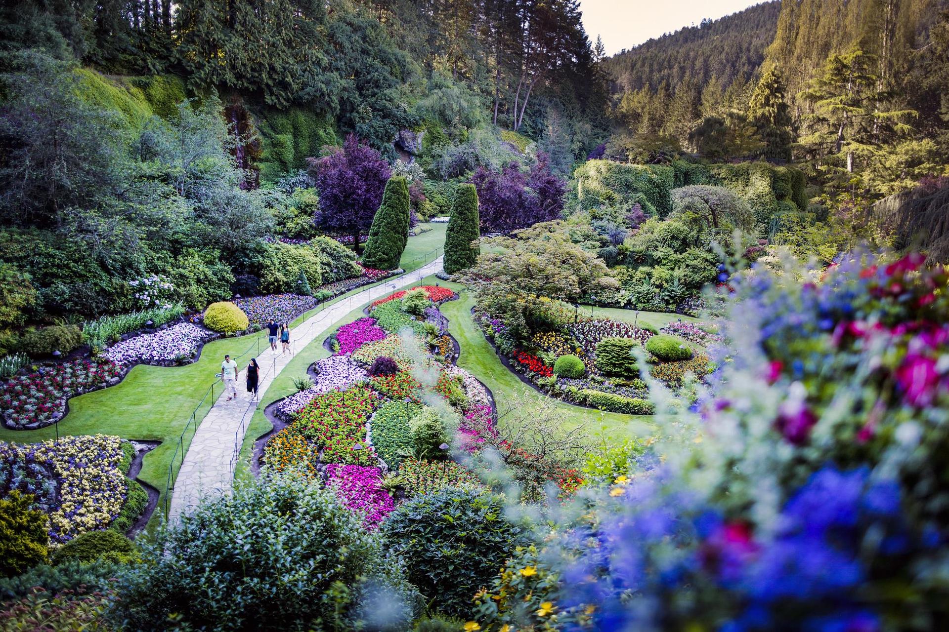 A view of the Sunken Garden at The Butchart Gardens in Victoria, BC