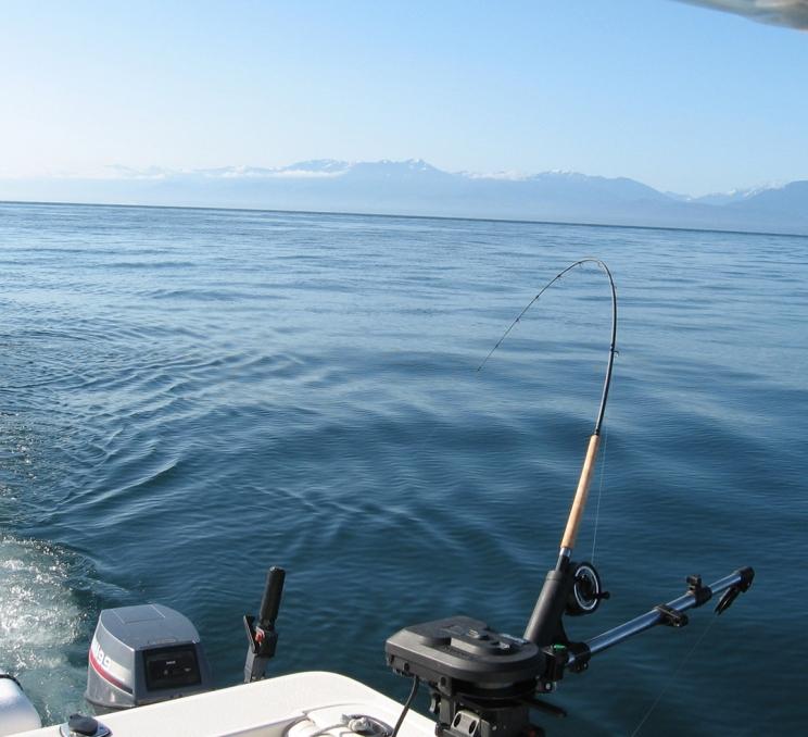 A fishing rod snags a bite while fishing off the coast of Victoria, BC