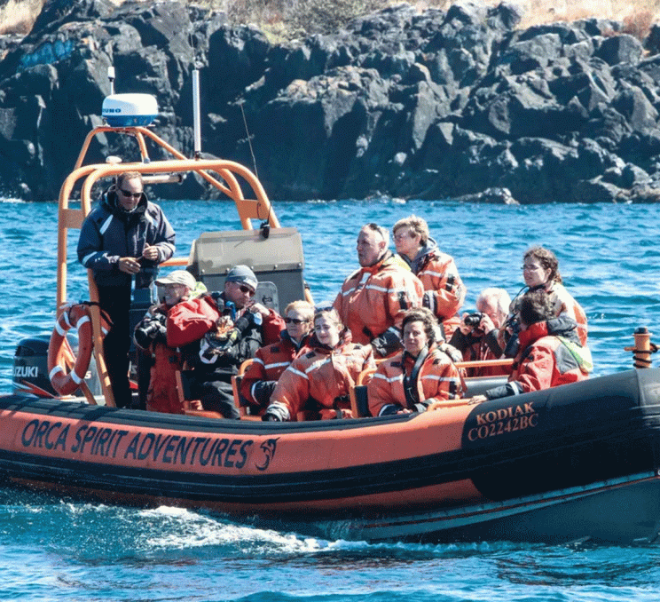 A zodiac tour from Orca Spirit Adventures, an Indigenous-owned whale watching provider, explores the Salish Sea off the coast of Greater Victoria