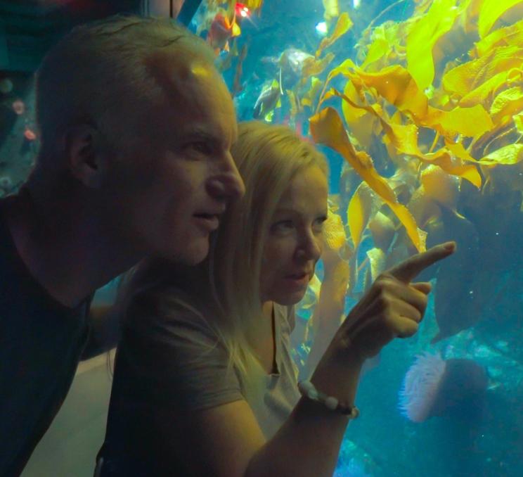 A couple examines marine life at the Shaw Centre for the Salish Sea in Victoria, BC