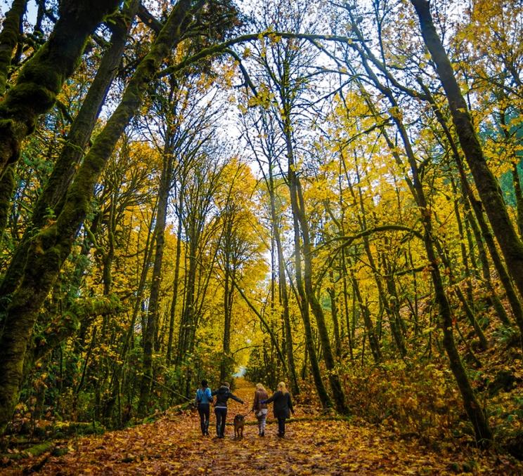 A family walks their dog through the fall foliage at Goldstream Provincial Park in Victoria, BC