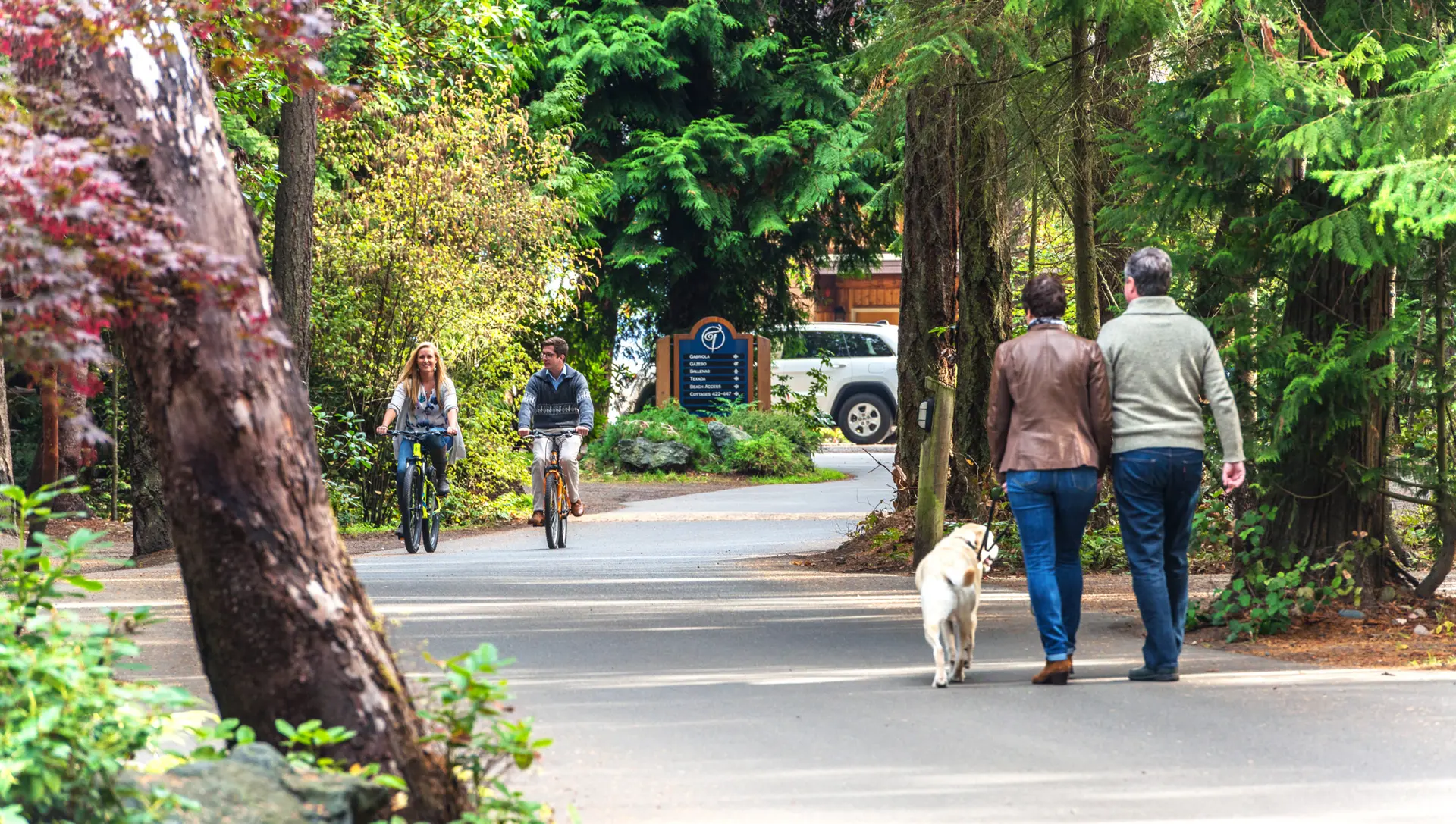 Reconnect with nature on our 22 acre forested & oceanfront property.